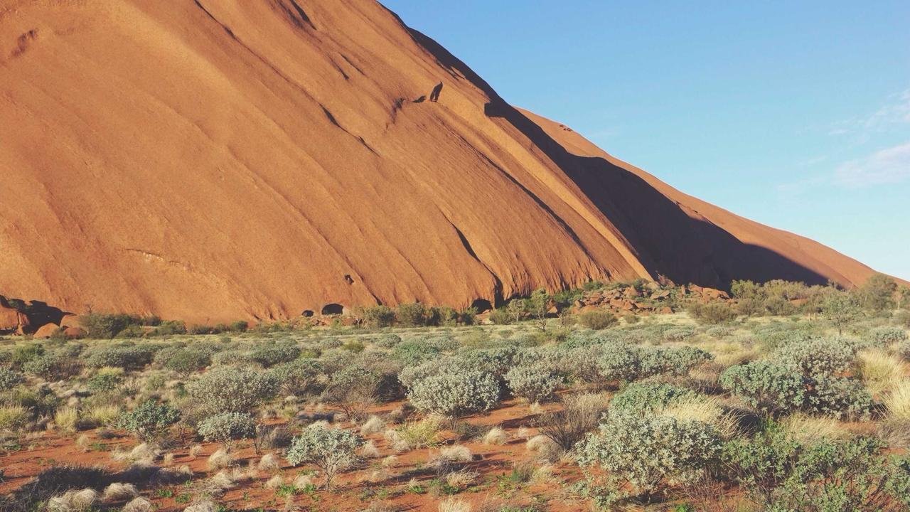 Schools Turn Campuses Into Testing Grounds for Climate Adaptation